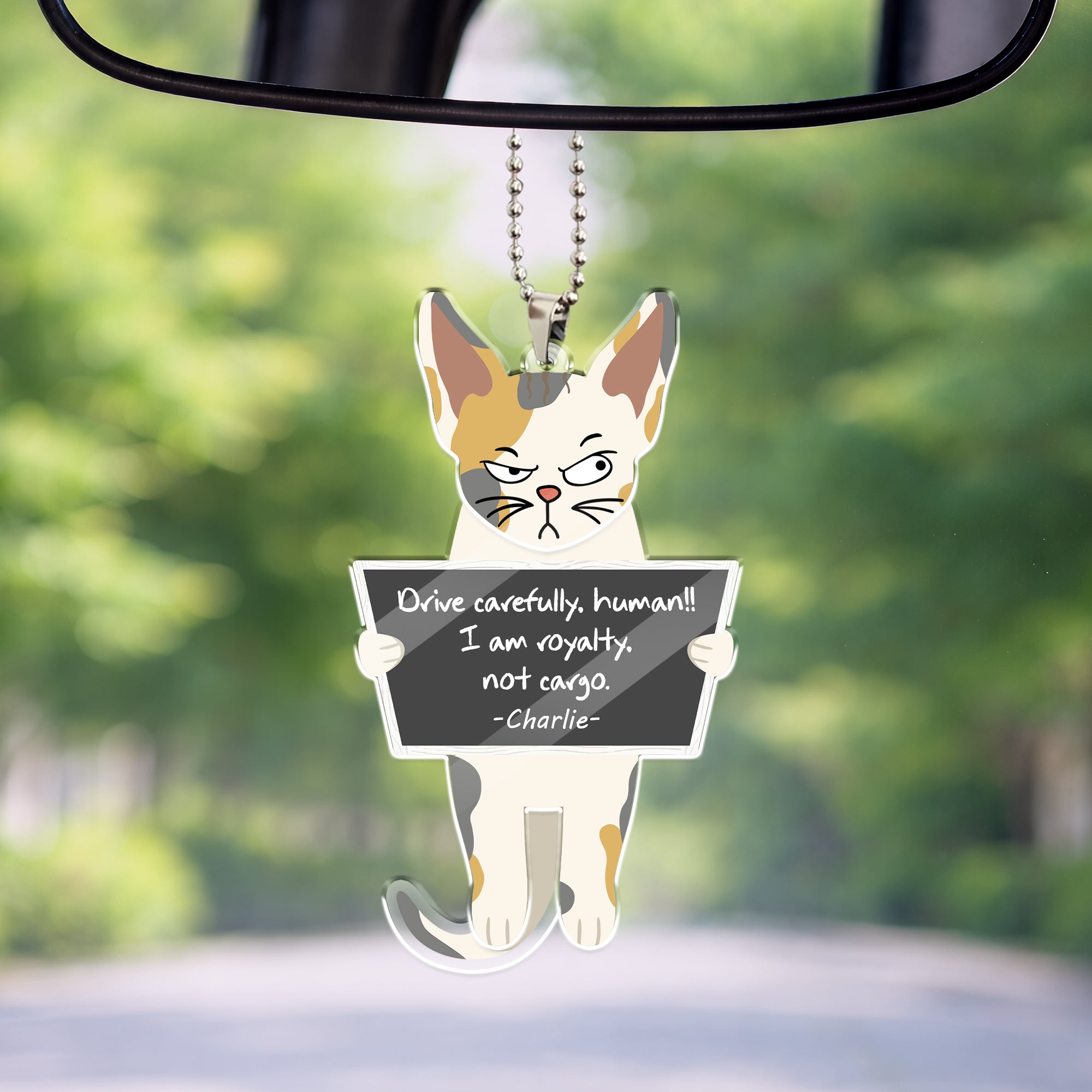 Custom cat car ornament with name holding humorous drive safe sign, acrylic swaying ornament for cat lovers