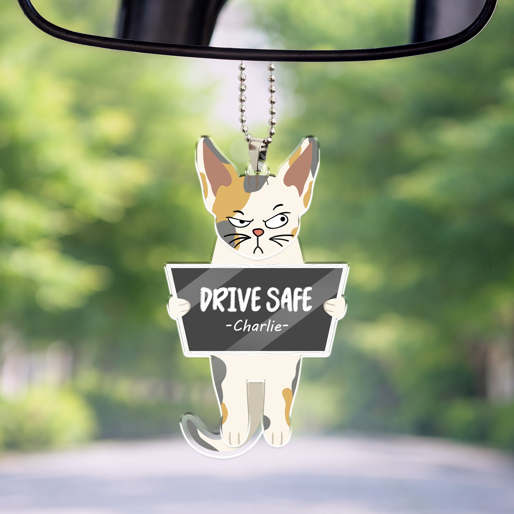 Personalized swaying car ornament featuring a grumpy cartoon cat holding a “Drive Safe” sign with custom name, hanging from rearview mirror.