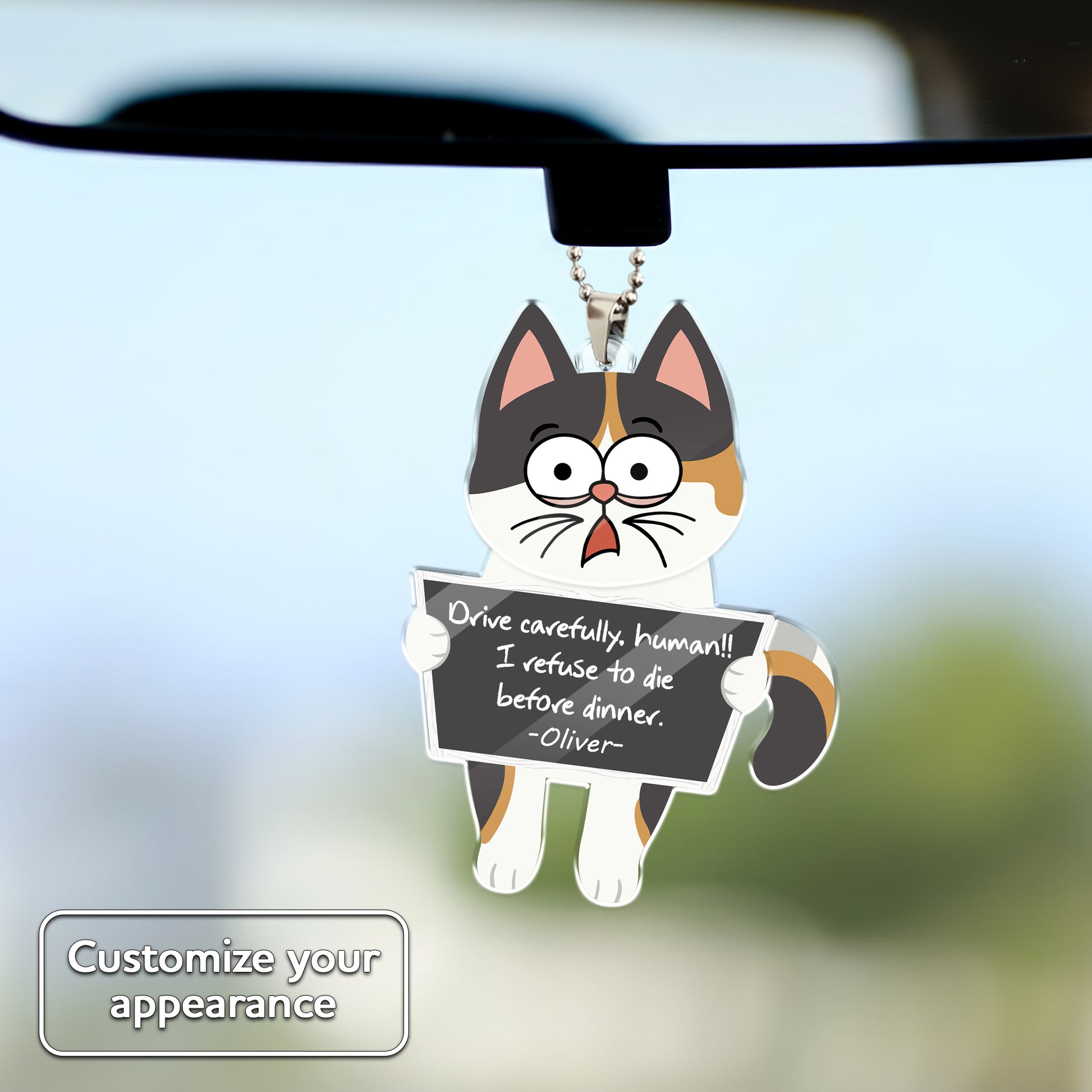 Personalized swaying cat car ornament hanging on rearview mirror, funny cat holding sign “Drive carefully, human”, customizable design