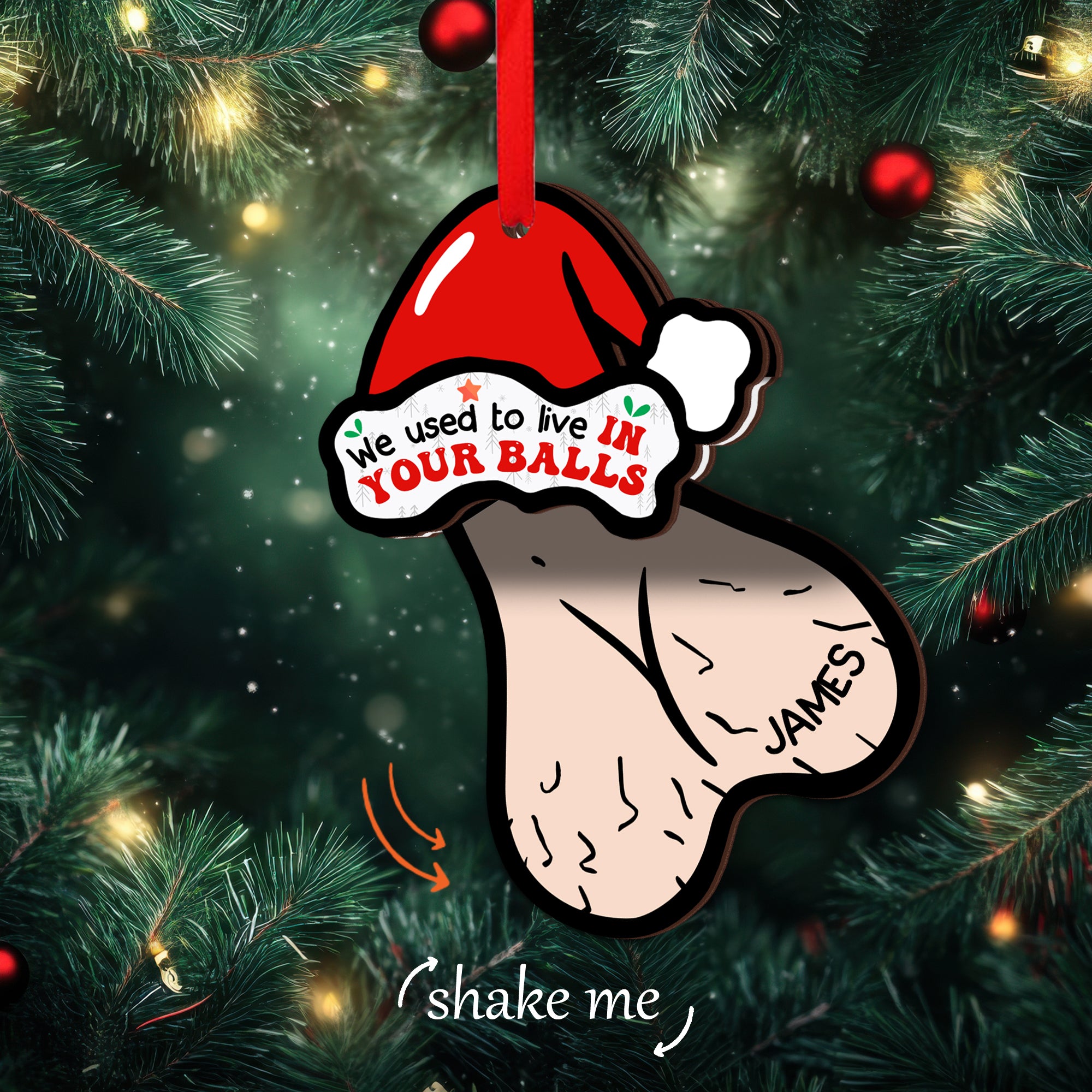 Personalized Shaking Wooden Christmas Ornament - We Used to Live in Your Balls, Gift for Dad-P2511-0104-mk2