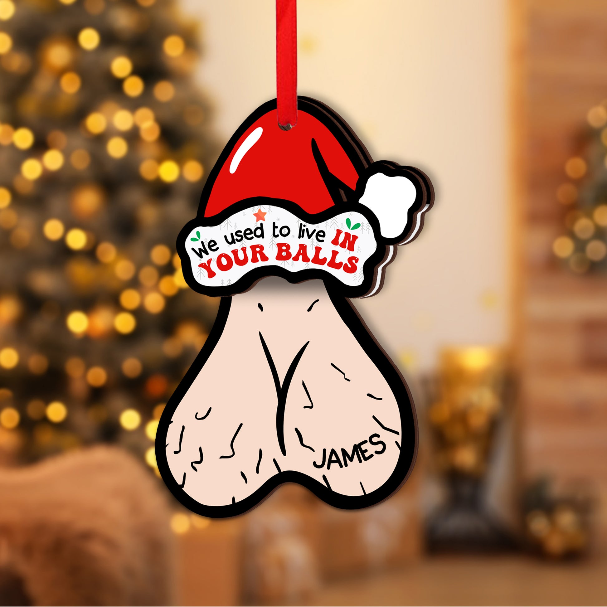 Personalized Shaking Wooden Christmas Ornament - We Used to Live in Your Balls, Gift for Dad-P2511-0104-mk3