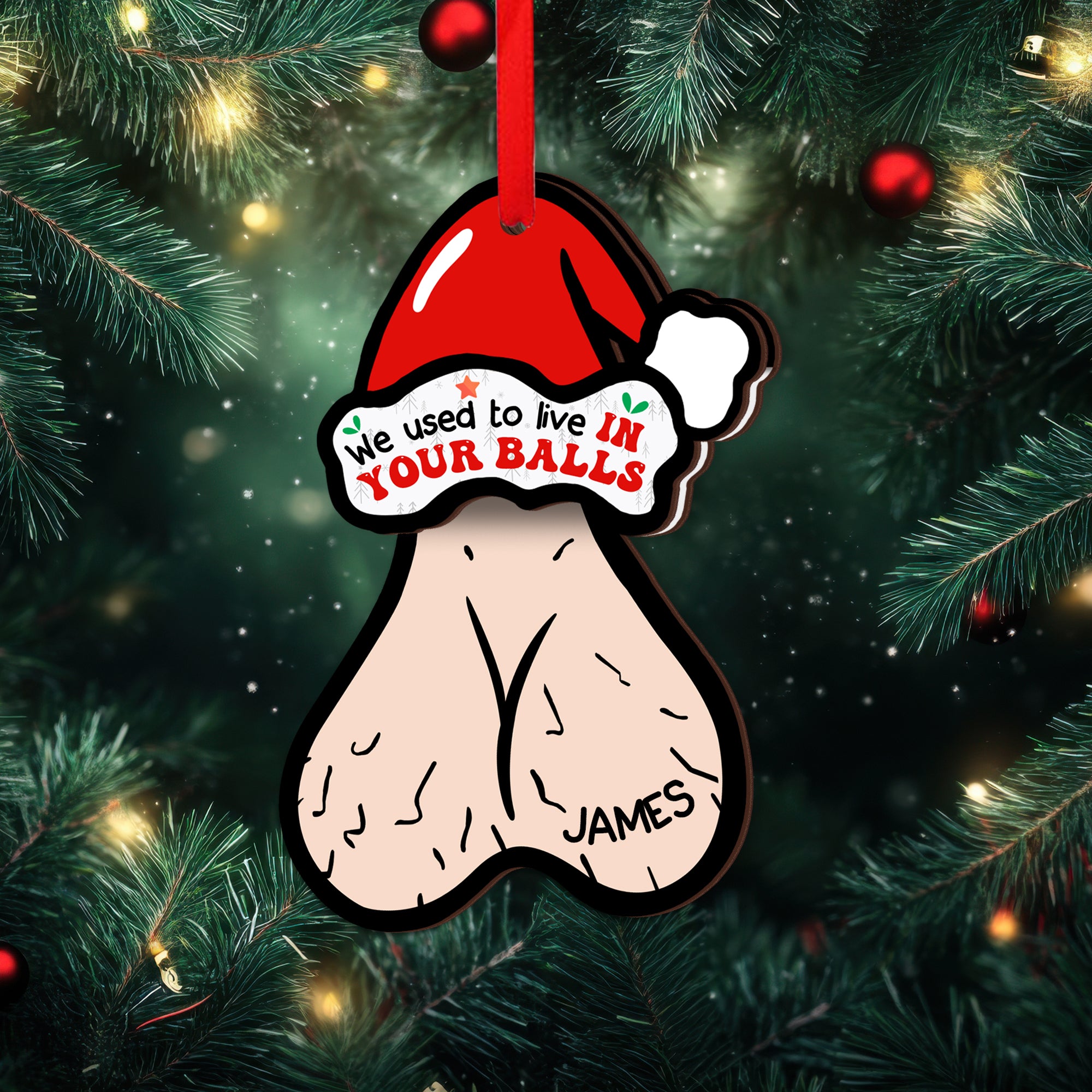 Personalized Shaking Wooden Christmas Ornament - We Used to Live in Your Balls, Gift for Dad-P2511-0104-mk4