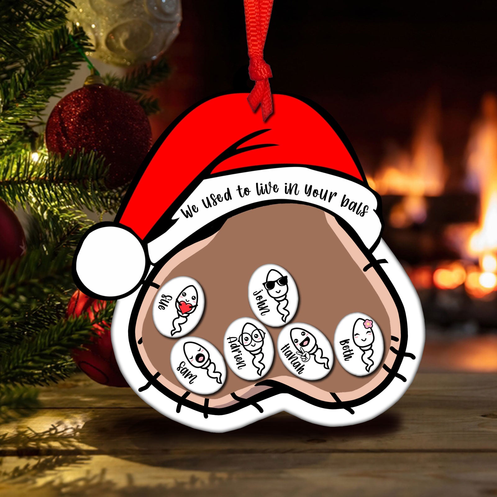 We Used To Live In Your Balls - Personalized Shaking Ornament-P2509-0804-mk1