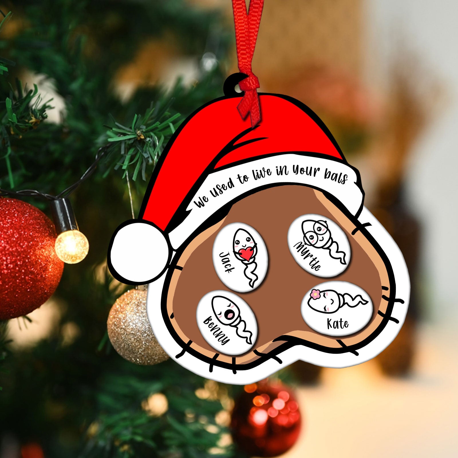 We Used To Live In Your Balls - Personalized Shaking Ornament-P2509-0804-mk3